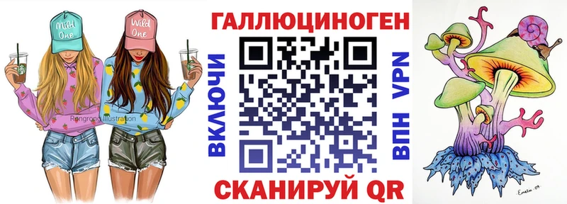 закладка Хвалынск hydra как войти Псилоцибиновые грибы мицелий